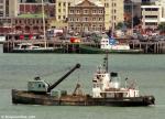 ID 813 Tasman Bay